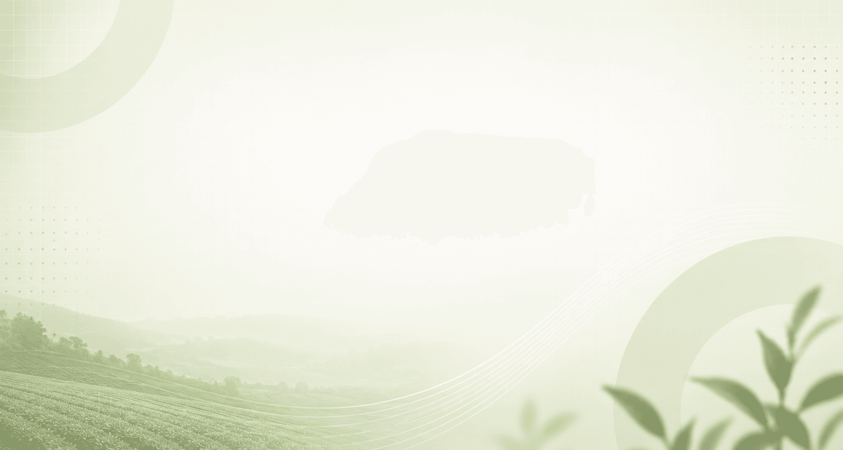 Initiatives Background