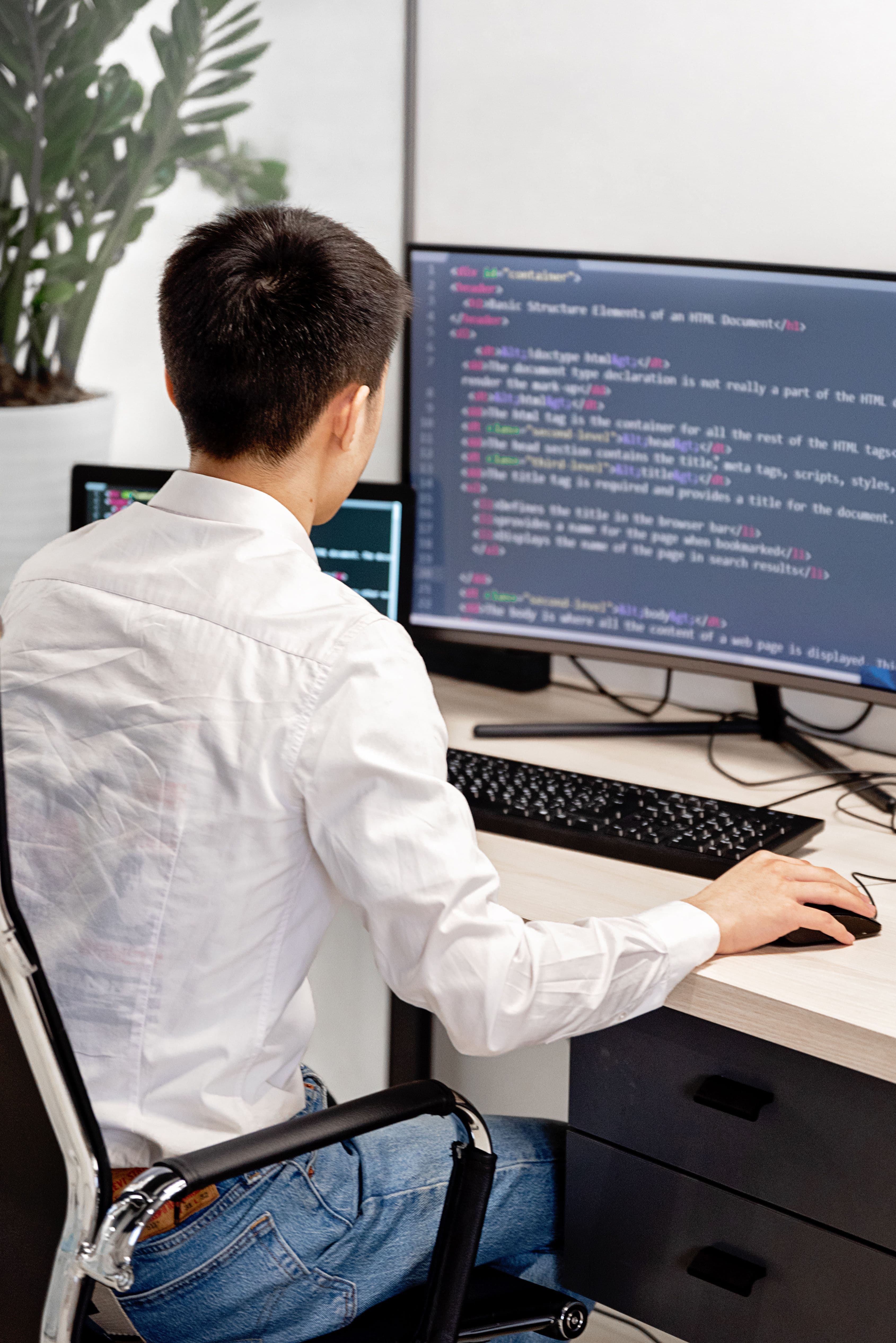 Website, Apps and Software Development
